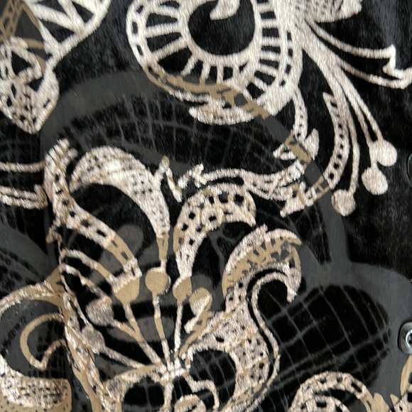 Pendleton Velvet Button Down Tunic and Tucked in Blouse - Picture 6 of 8